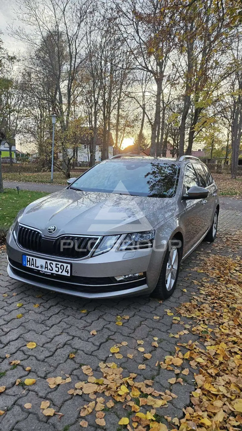 2019 Skoda Octavia