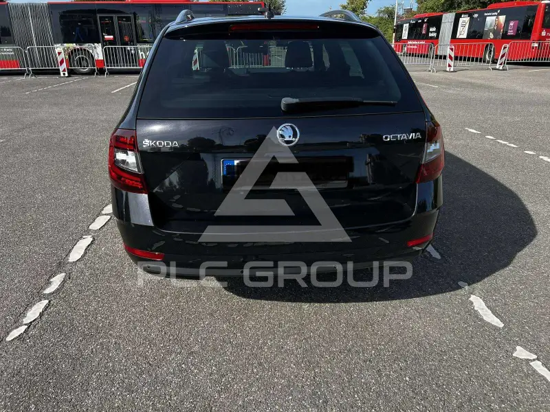 2019 Skoda Octavia
