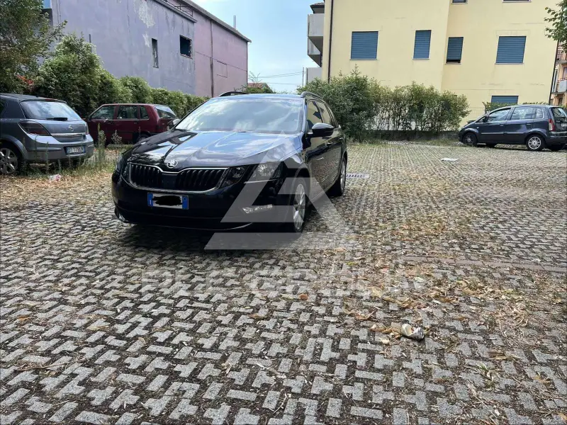 2019 Skoda Octavia