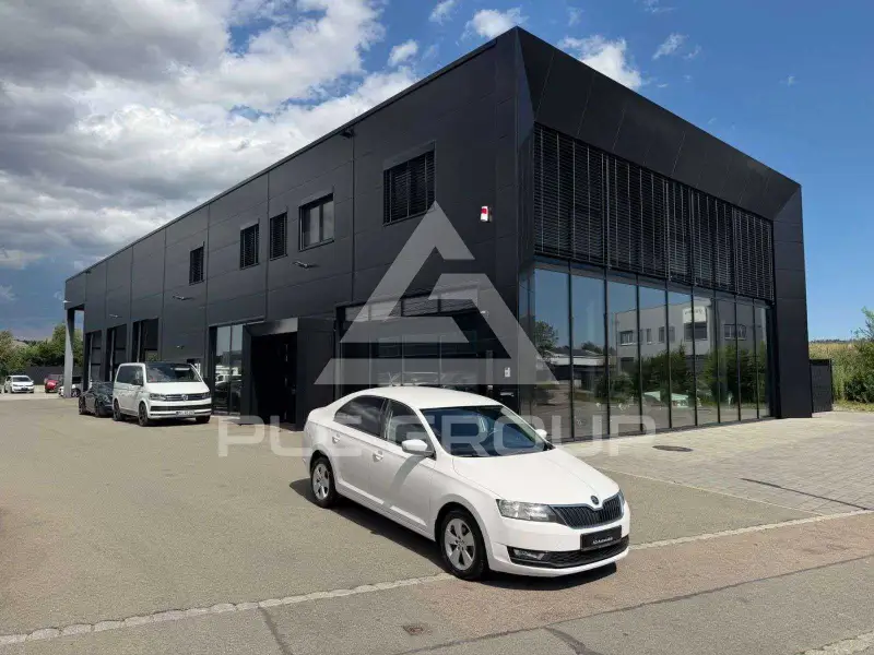 2019 Skoda Rapid
