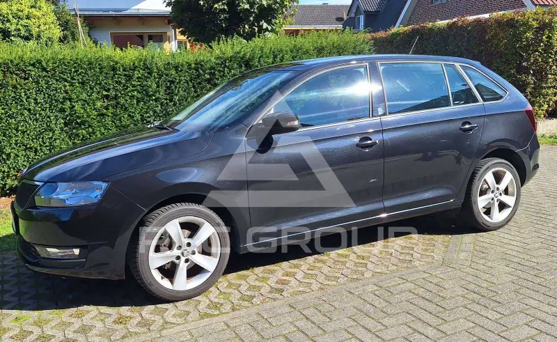 2019 Skoda Rapid