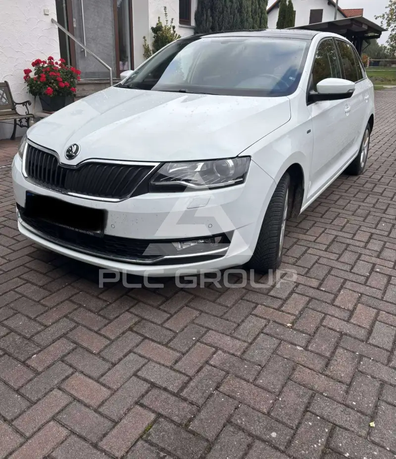 2019 Skoda Rapid