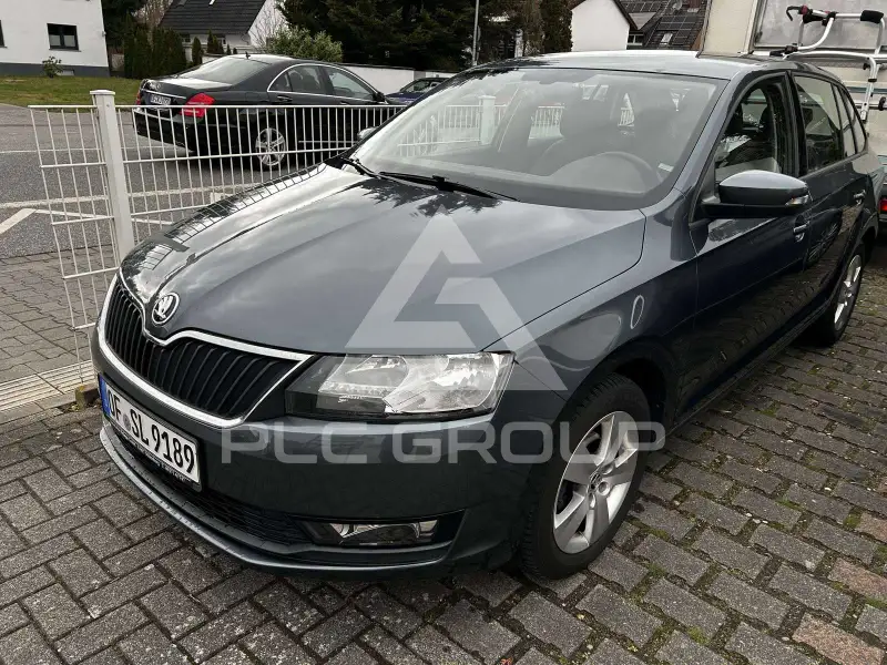 2019 Skoda Rapid