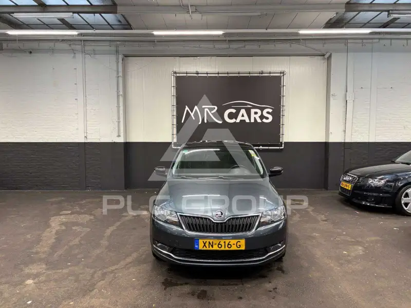 2019 Skoda Rapid