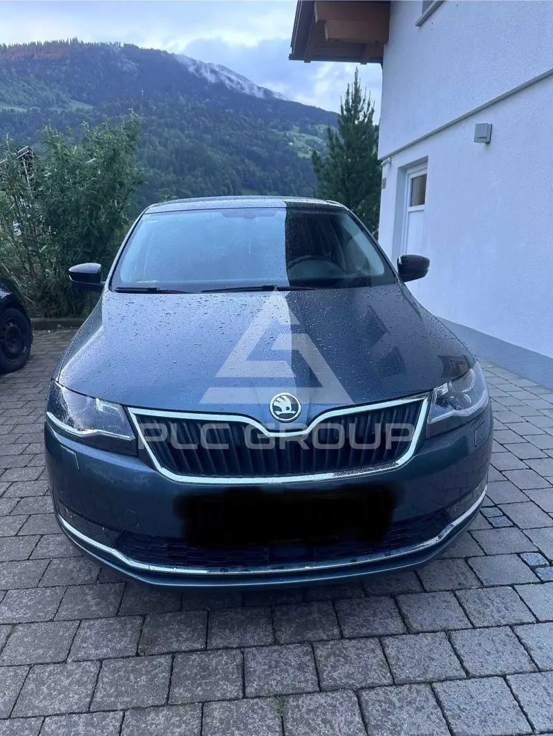 2019 Skoda Rapid