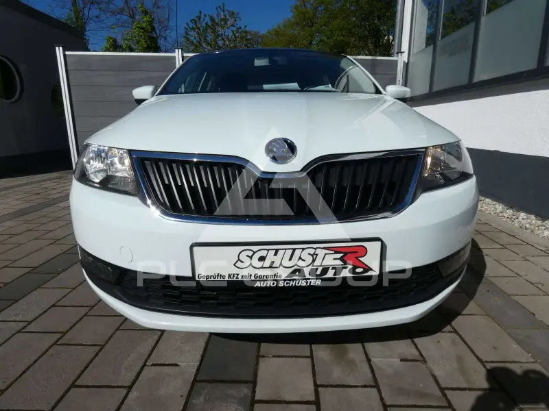 2019 Skoda Rapid