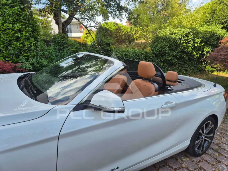 2019 BMW 230