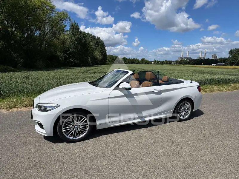 2019 BMW 220