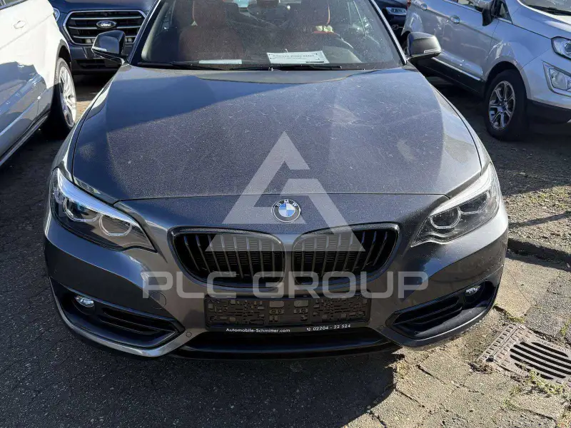 2019 BMW 218