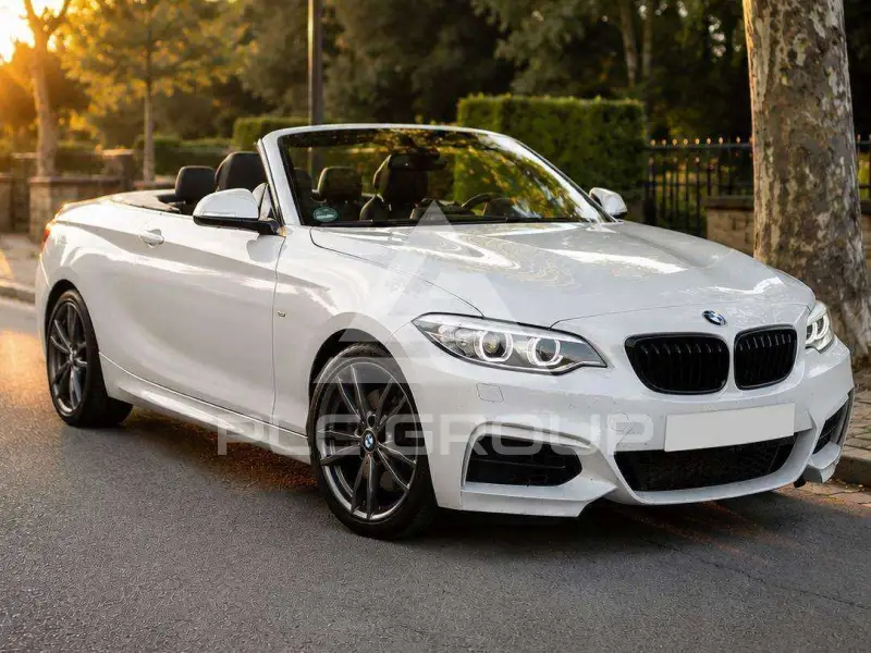2019 BMW 218