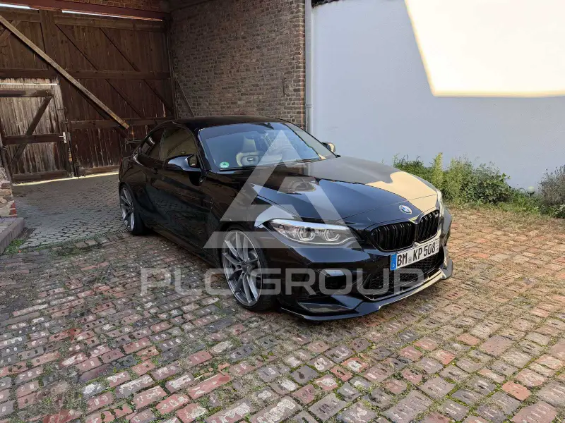 2019 BMW M2