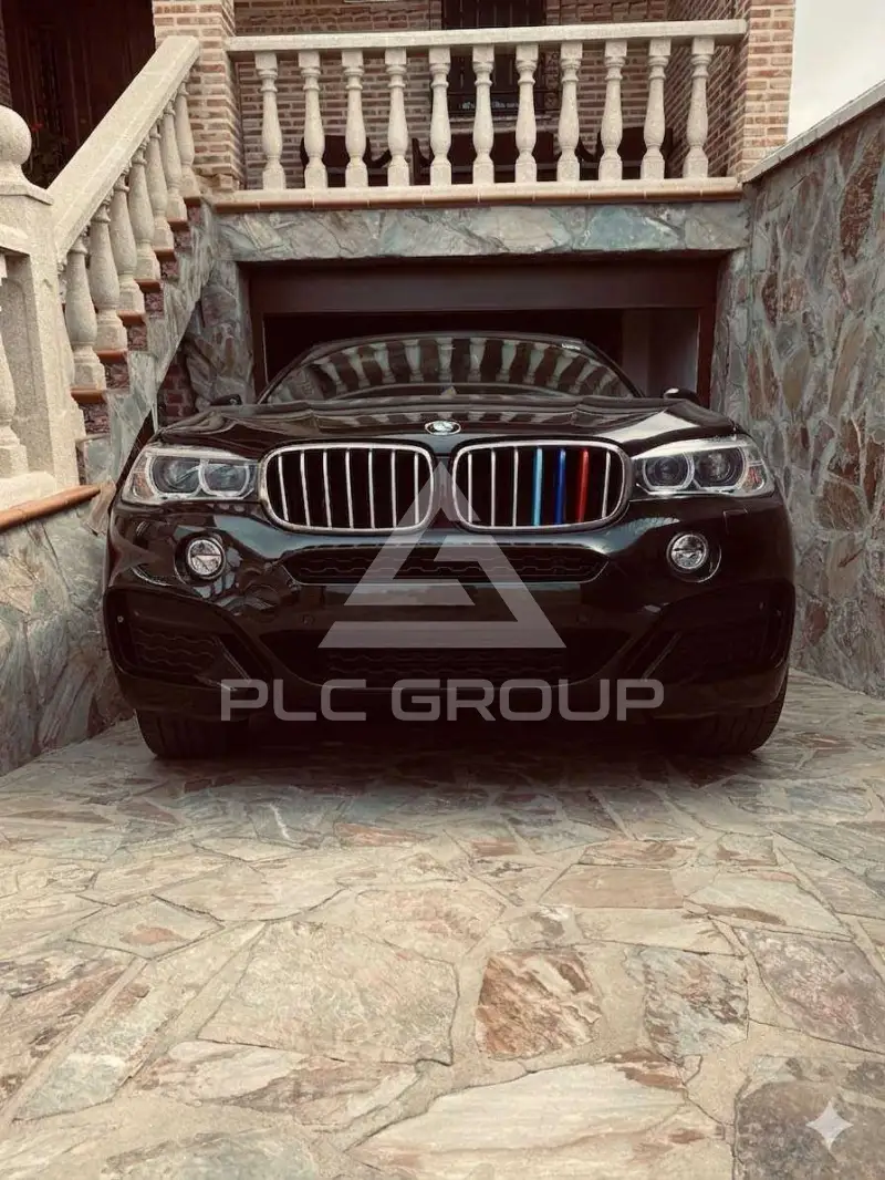 2019 BMW X6