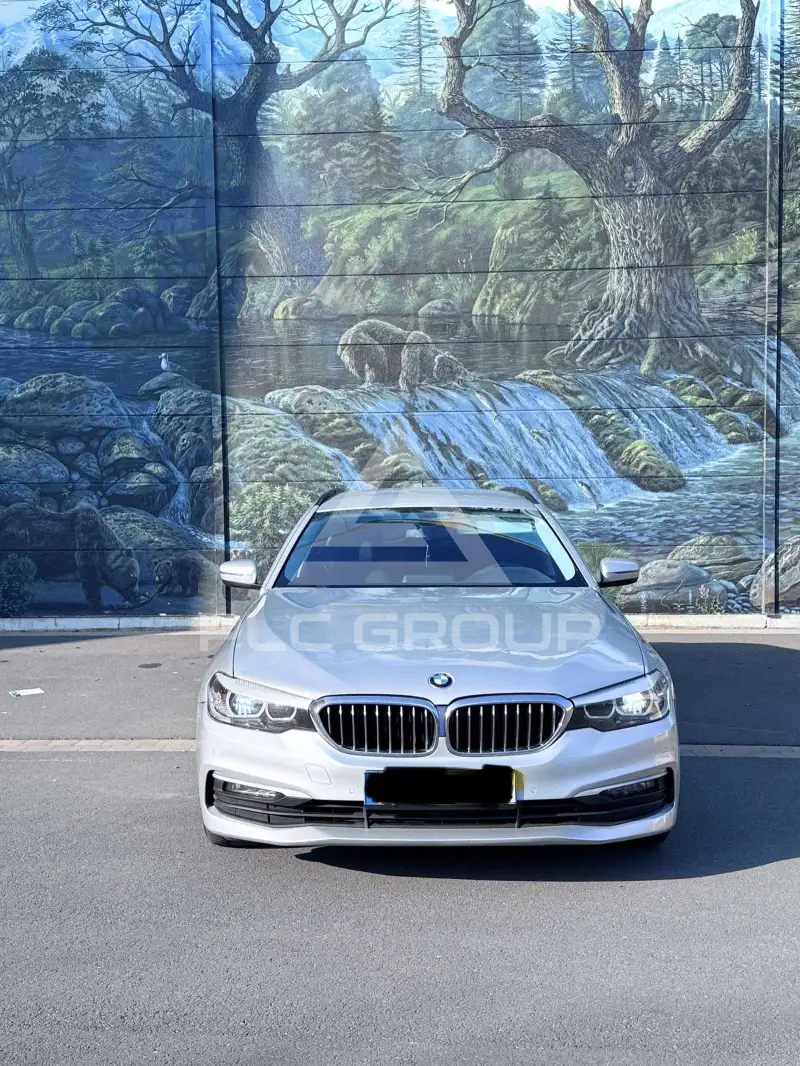 2019 BMW 520