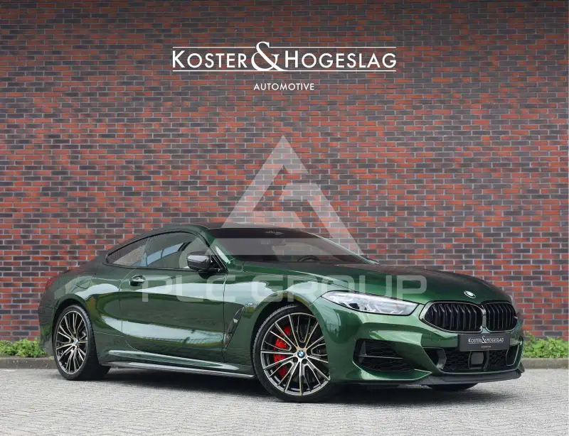2019 BMW M8