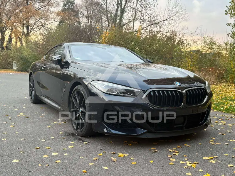 2019 BMW M8