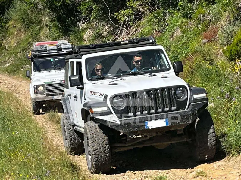 2019 Jeep WRANGLER