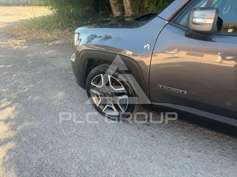 2019 Jeep Renegade