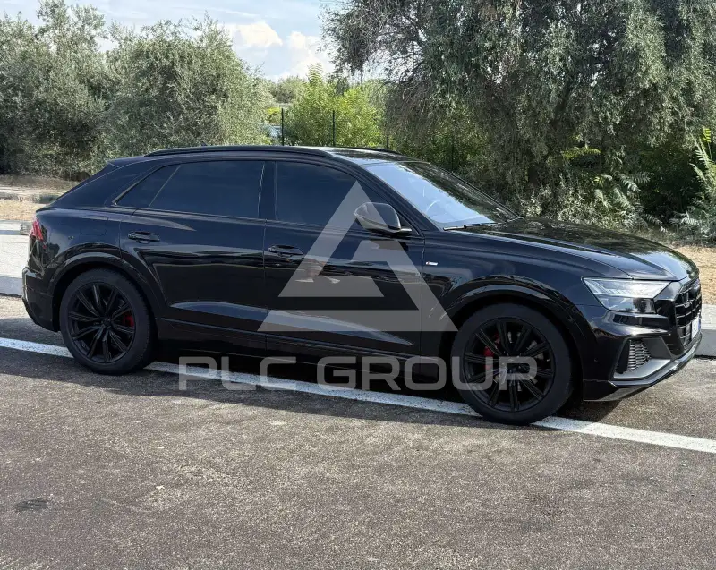 2019 Audi Q8