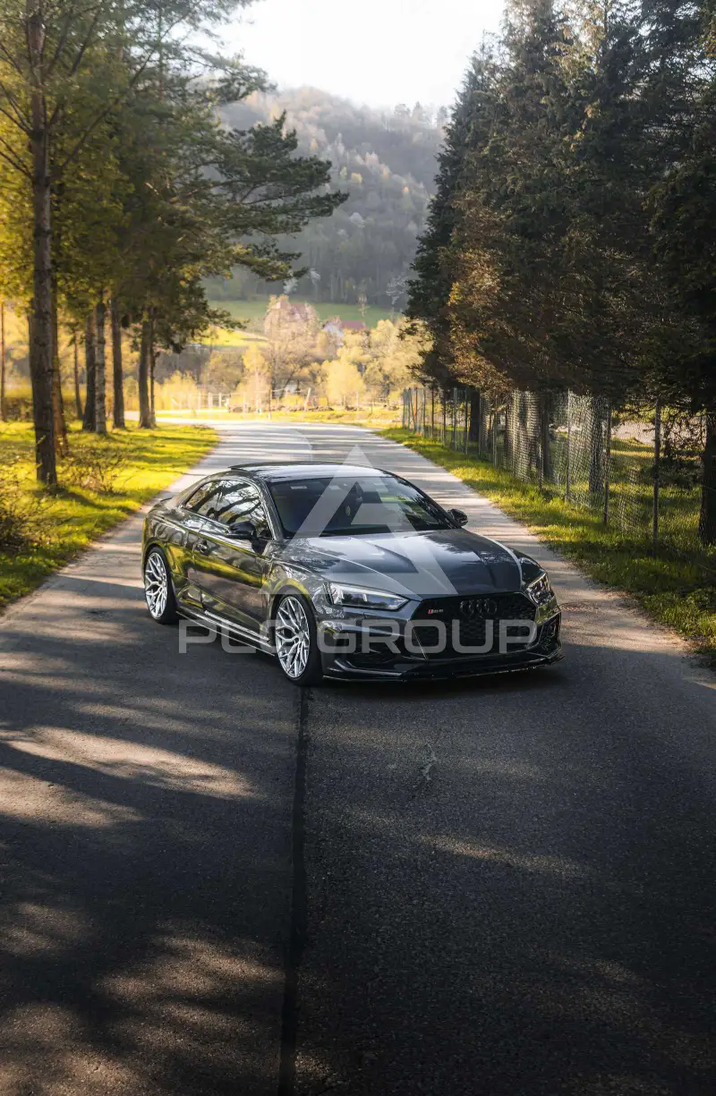 2019 Audi RS5