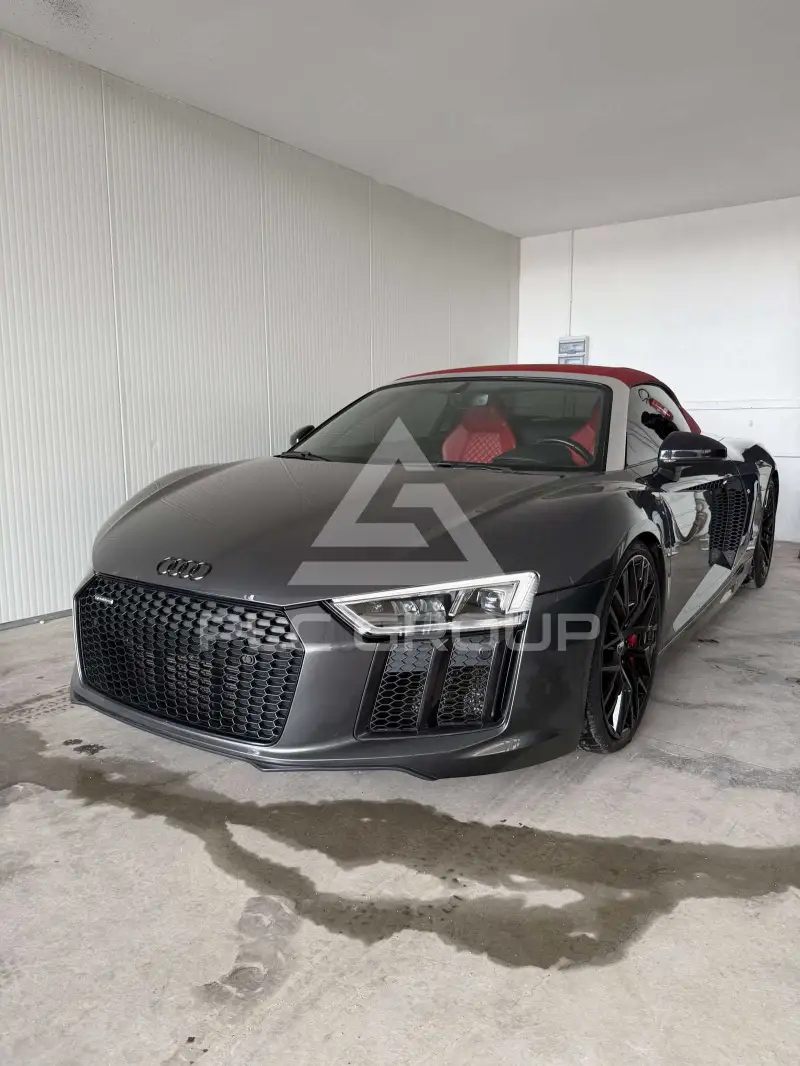 2019 Audi R8
