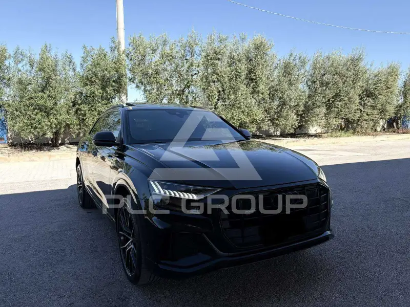 2019 Audi Q8