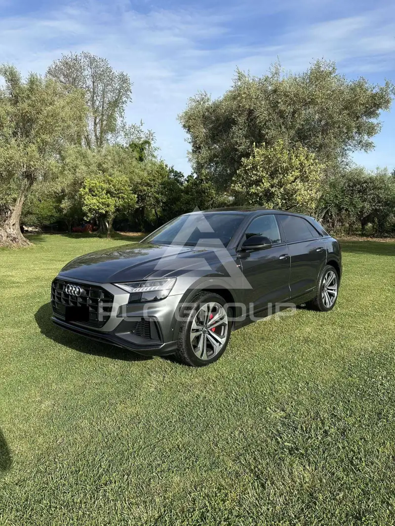 2019 Audi Q8