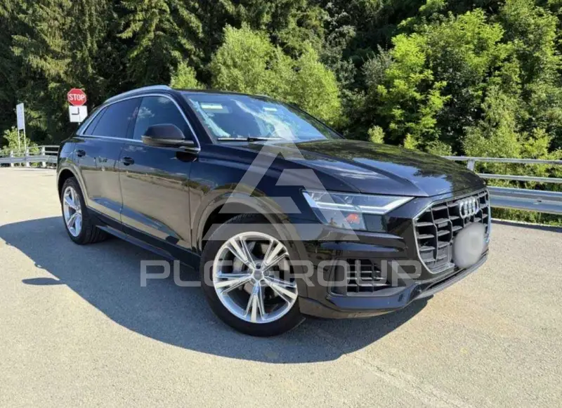 2019 Audi Q8