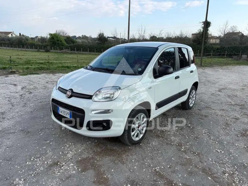 2019 Fiat Panda