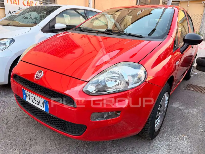 2019 Fiat Punto