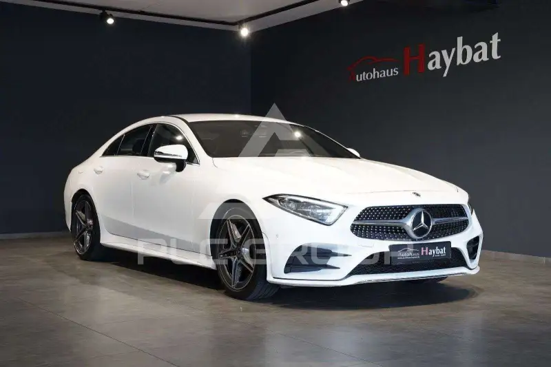 2019 Mercedes Benz CLS 220
