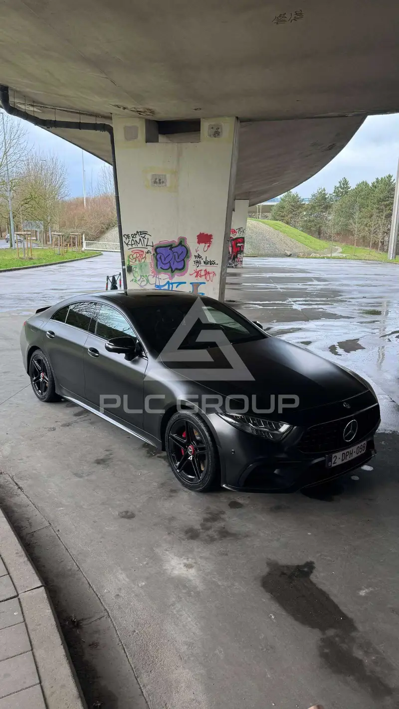 2019 Mercedes Benz CLS 53 AMG