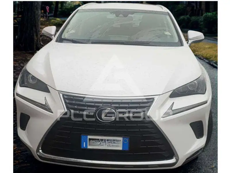 2019 Lexus NX300
