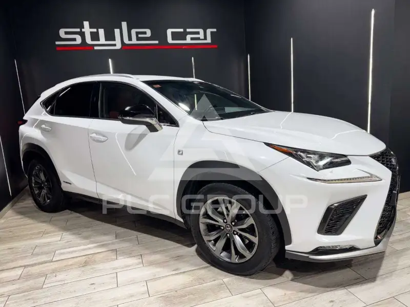 2019 Lexus NX300