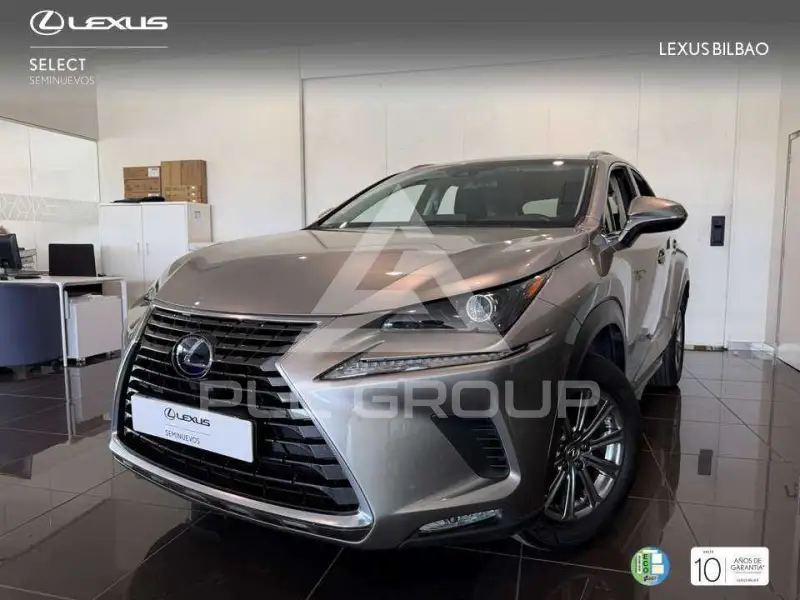 2019 Lexus NX300