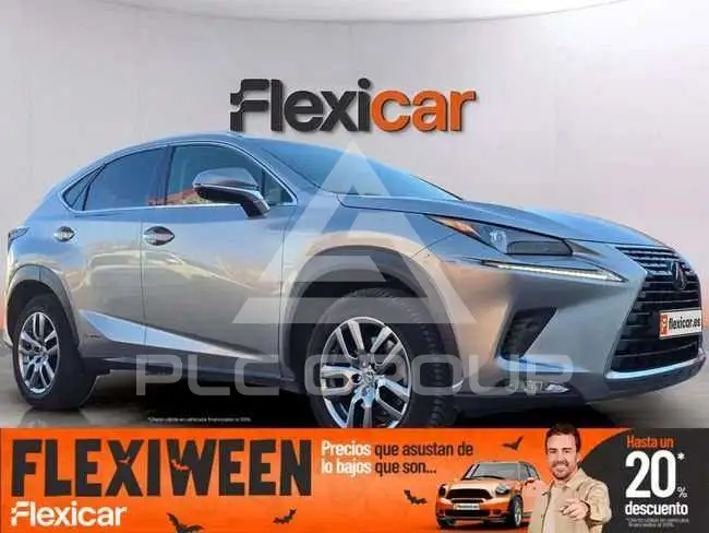 2019 Lexus NX300