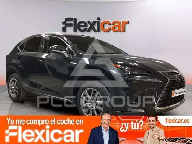 2019 Lexus NX300