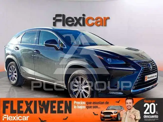 2019 Lexus NX300