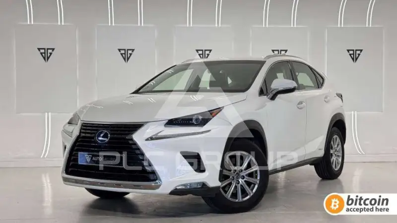 2019 Lexus NX300