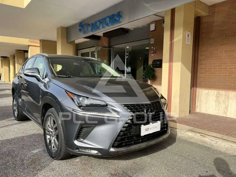 2019 Lexus NX300