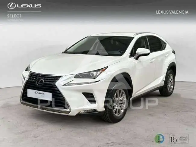 2019 Lexus NX300