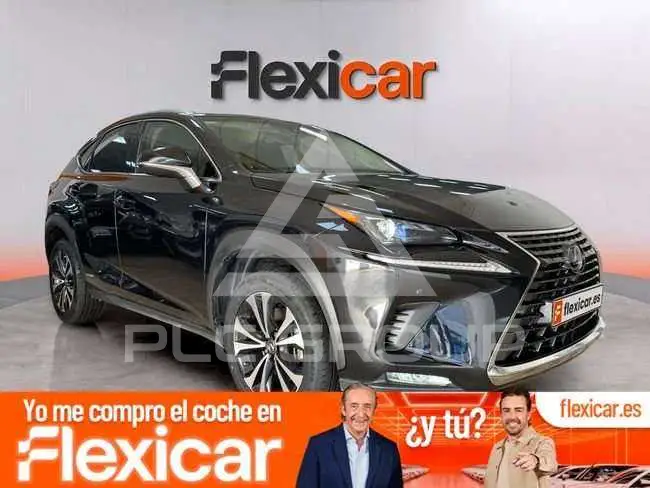 2019 Lexus NX300