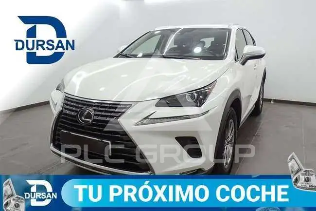 2019 Lexus NX300