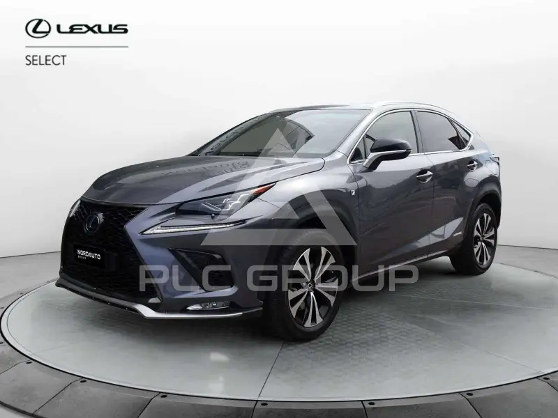 2019 Lexus NX300