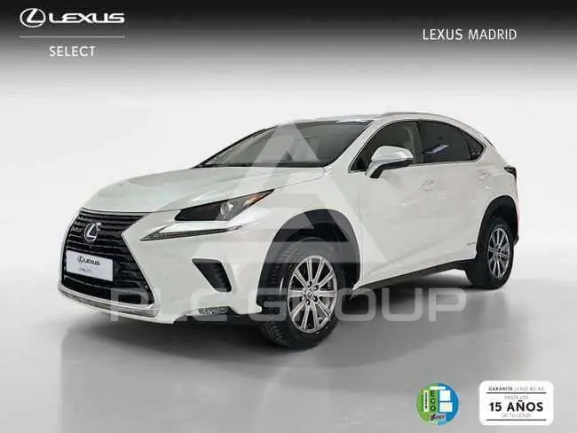 2019 Lexus NX300