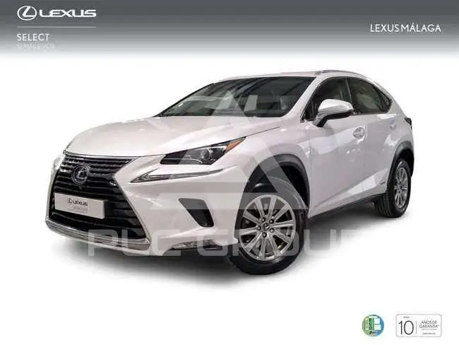 2019 Lexus NX300
