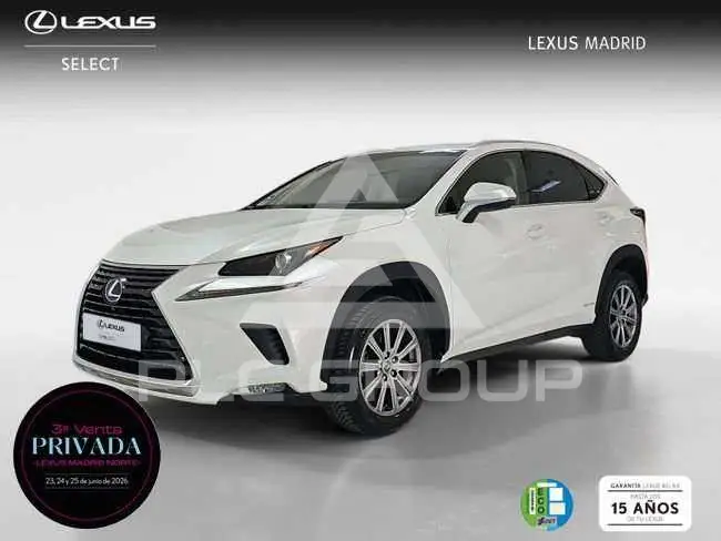 2019 Lexus NX300