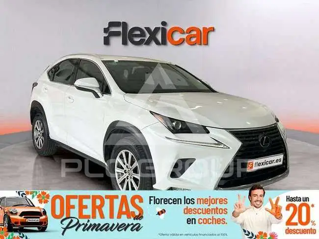 2019 Lexus NX300