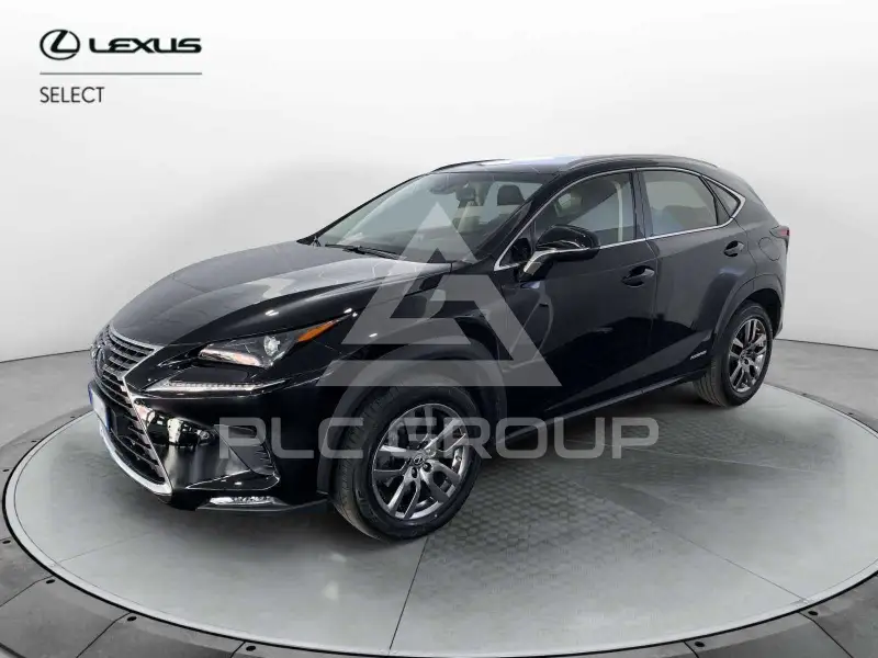 2019 Lexus NX300