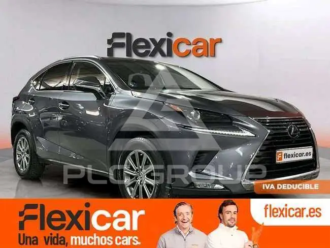 2019 Lexus NX300