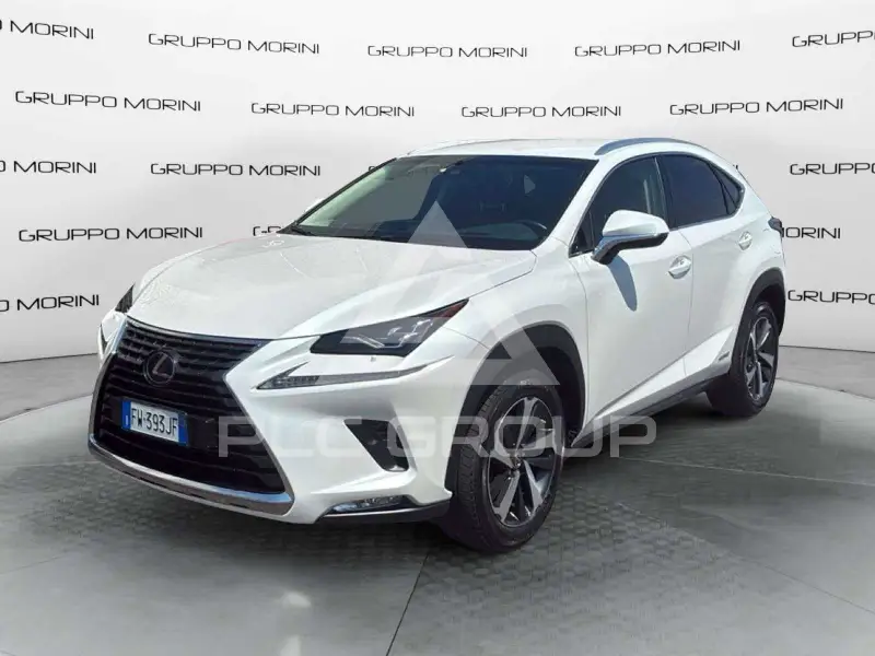 2019 Lexus NX300